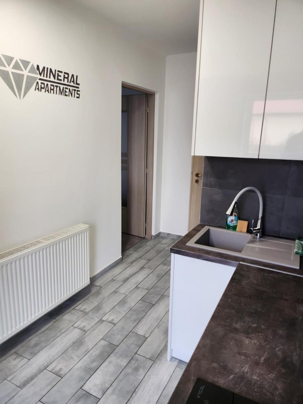 Mineral Apartman Diamond Mestecǎneşti Exterior foto